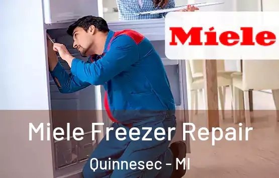  Miele Freezer Repair Quinnesec - MI