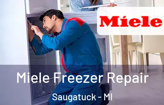 Miele Freezer Repair Saugatuck - MI