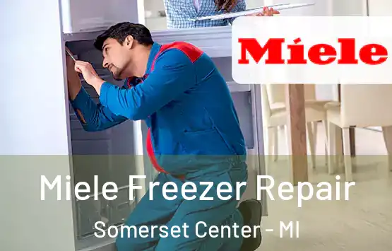  Miele Freezer Repair Somerset Center - MI