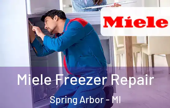  Miele Freezer Repair Spring Arbor - MI