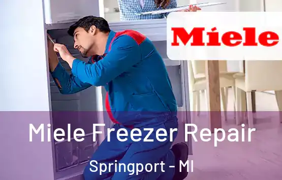  Miele Freezer Repair Springport - MI