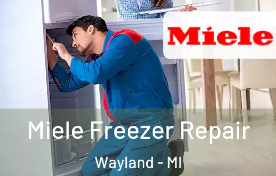  Miele Freezer Repair Wayland - MI