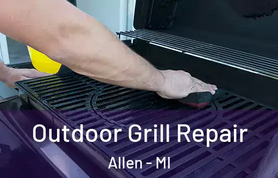  Outdoor Grill Repair Allen - MI