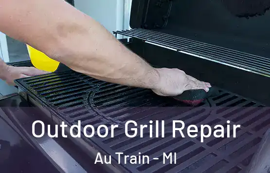  Outdoor Grill Repair Au Train - MI