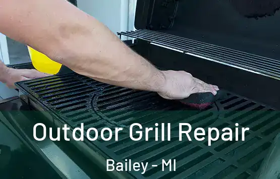  Outdoor Grill Repair Bailey - MI