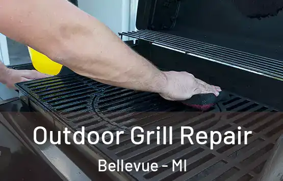  Outdoor Grill Repair Bellevue - MI