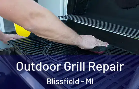  Outdoor Grill Repair Blissfield - MI
