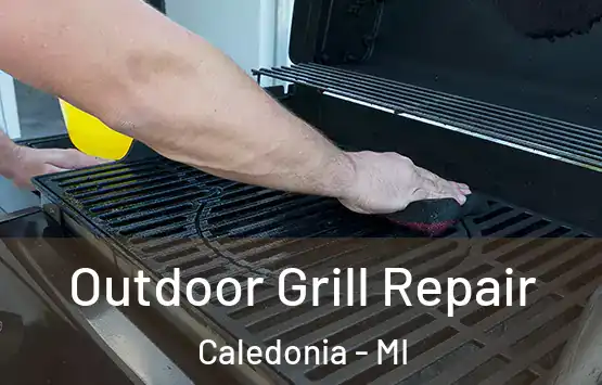  Outdoor Grill Repair Caledonia - MI