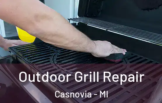  Outdoor Grill Repair Casnovia - MI
