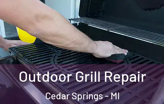  Outdoor Grill Repair Cedar Springs - MI