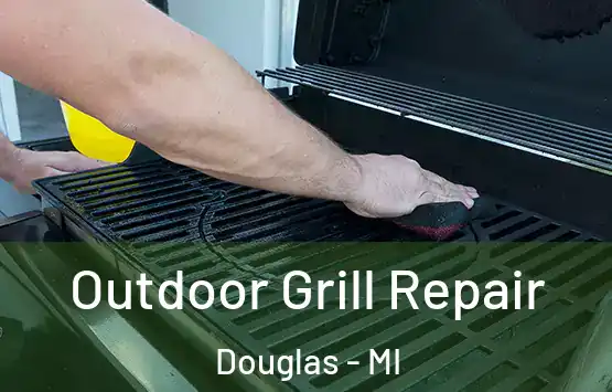  Outdoor Grill Repair Douglas - MI