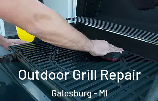  Outdoor Grill Repair Galesburg - MI