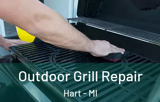  Outdoor Grill Repair Hart - MI