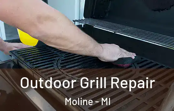 Outdoor Grill Repair Moline - MI