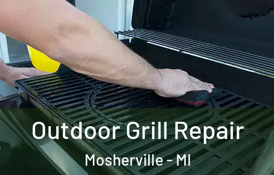  Outdoor Grill Repair Mosherville - MI
