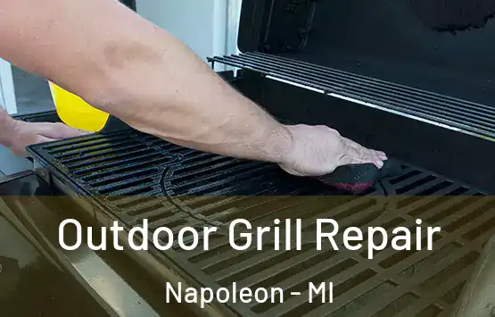  Outdoor Grill Repair Napoleon - MI