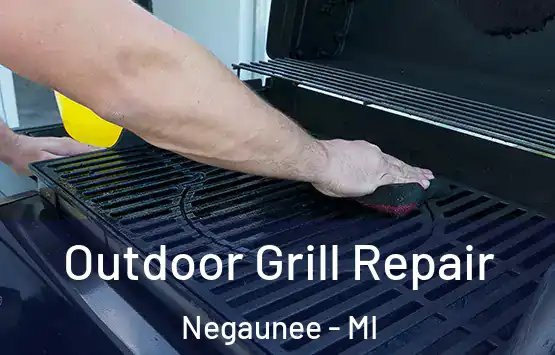  Outdoor Grill Repair Negaunee - MI