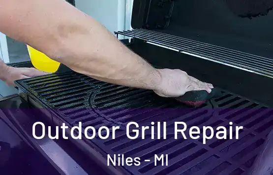  Outdoor Grill Repair Niles - MI