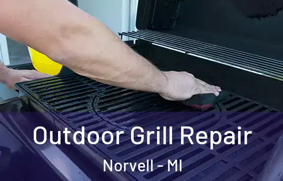 Outdoor Grill Repair Norvell - MI