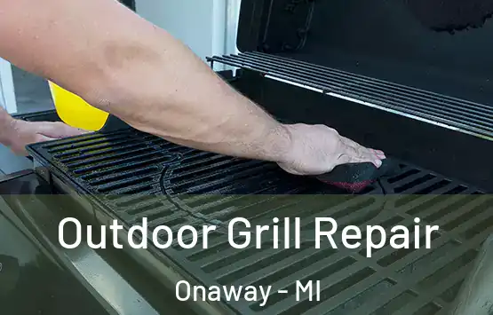  Outdoor Grill Repair Onaway - MI