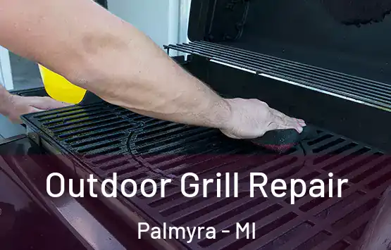  Outdoor Grill Repair Palmyra - MI
