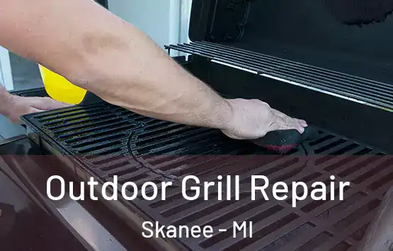  Outdoor Grill Repair Skanee - MI