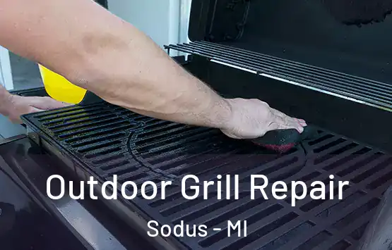  Outdoor Grill Repair Sodus - MI