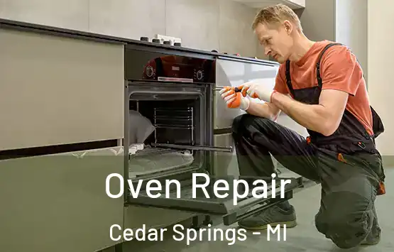  Oven Repair Cedar Springs - MI