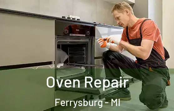  Oven Repair Ferrysburg - MI