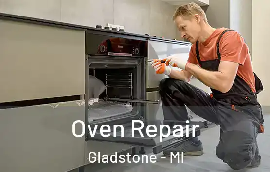 Oven Repair Gladstone - MI