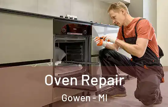  Oven Repair Gowen - MI