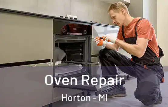  Oven Repair Horton - MI