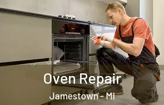  Oven Repair Jamestown - MI