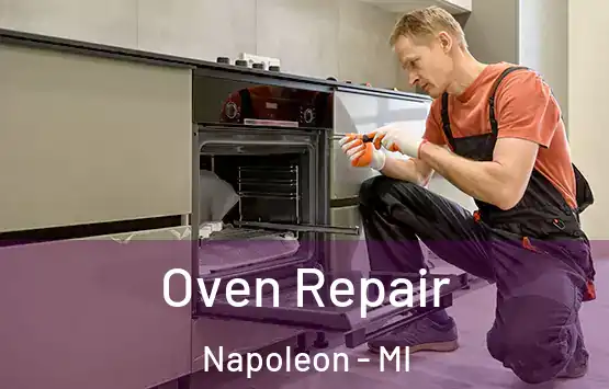  Oven Repair Napoleon - MI
