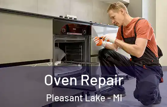  Oven Repair Pleasant Lake - MI