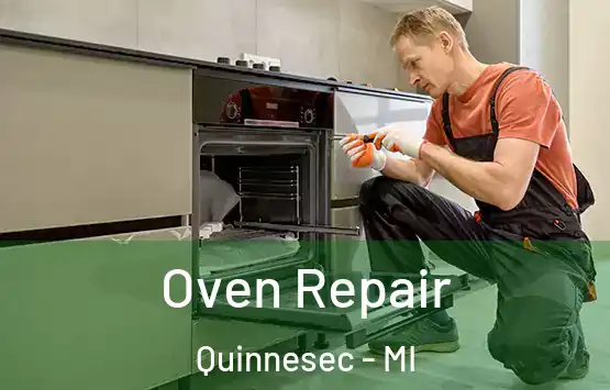  Oven Repair Quinnesec - MI