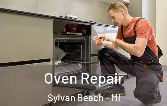  Oven Repair Sylvan Beach - MI