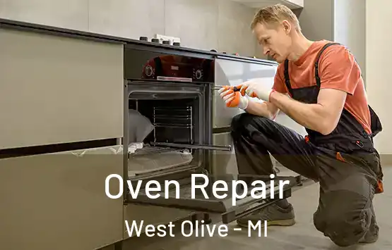  Oven Repair West Olive - MI