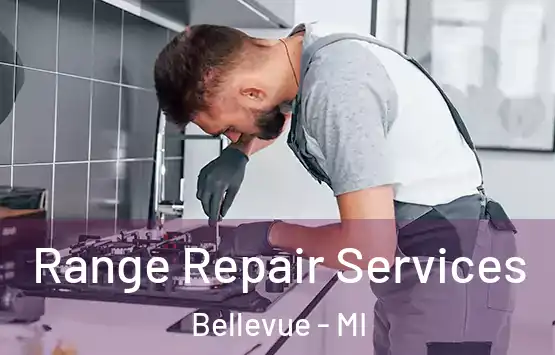  Range Repair Services Bellevue - MI