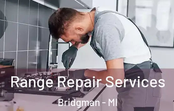  Range Repair Services Bridgman - MI