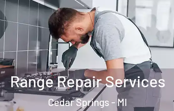 Range Repair Services Cedar Springs - MI