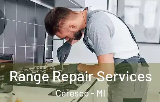  Range Repair Services Ceresco - MI