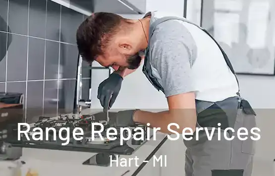  Range Repair Services Hart - MI