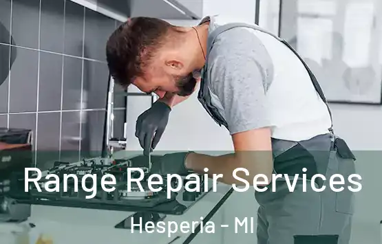  Range Repair Services Hesperia - MI