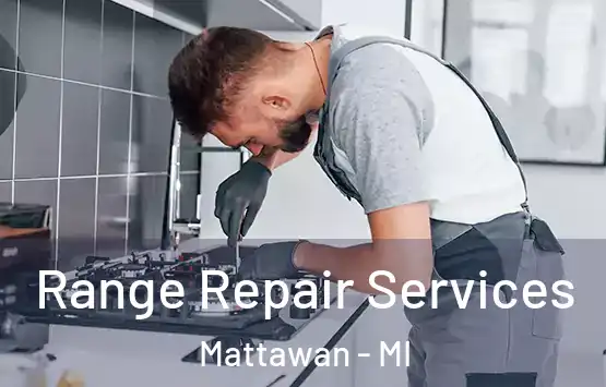 Range Repair Services Mattawan - MI