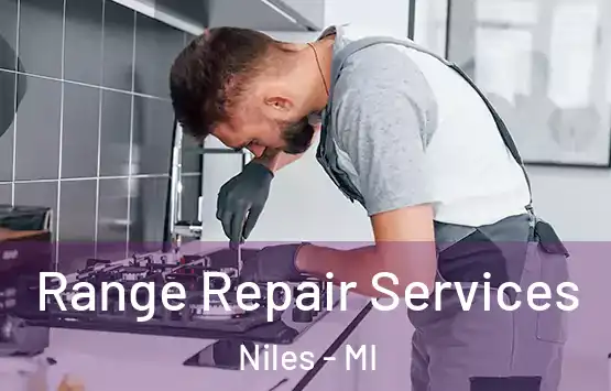  Range Repair Services Niles - MI