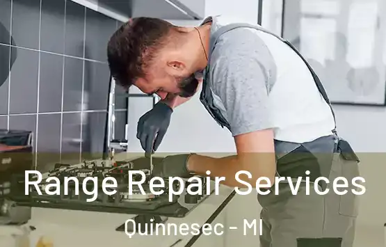  Range Repair Services Quinnesec - MI