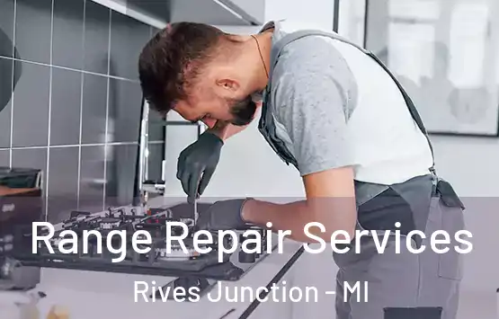 Range Repair Services Rives Junction - MI