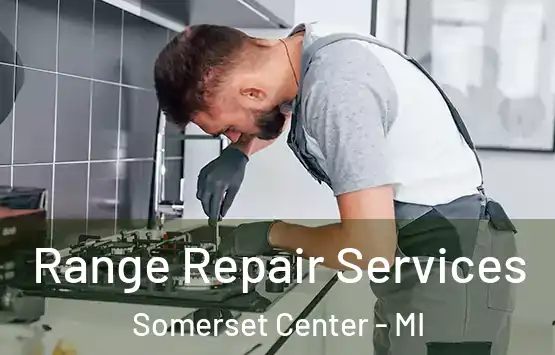  Range Repair Services Somerset Center - MI