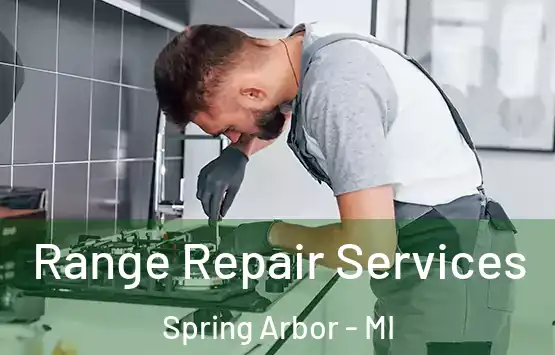  Range Repair Services Spring Arbor - MI